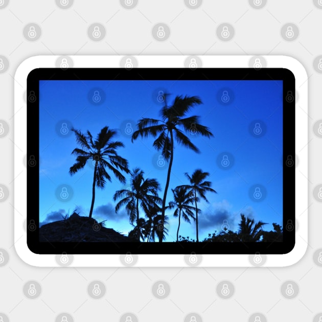 Hawaiian coconut trees Sticker by Coreoceanart